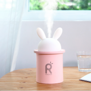 【白菜价】 便携夜灯香薰加湿器