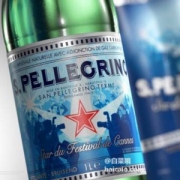 S.PELLECRINO 圣培露 充气天然矿泉水 750ml*12瓶
