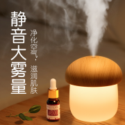 【白菜价】 【颜值炒鸡高！】小蘑菇夜灯迷你加湿器