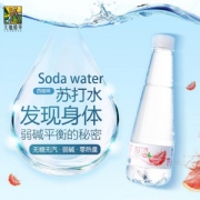 天地精华 西柚味苏打水饮料 410ml*15瓶