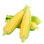 穗康 有机甜糯黏玉米 10支 单只15-17cm 重约250g