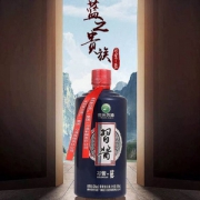 茅台集团 习酒 蓝习酱 53度酱香型白酒 500ml*2瓶