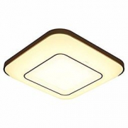 PHILIPS 飞利浦 Hue系列 睿颖LED吸顶灯 44W  987.75元包邮（需用码）
