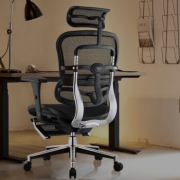 Ergonor 保友办公家具 人体工学电脑椅 金豪智尚版+固定躺舒宝