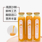 宇航人 野生沙棘果汁饮料 300ml*6瓶 30%原浆 营养价值非常高