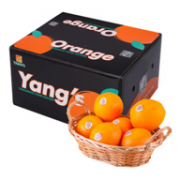 20斤 杨氏YANG`S精品赣南脐橙 钻石果 年货礼盒+3斤越南火龙果