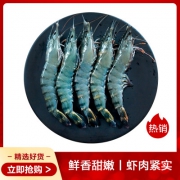 壹家壹站 马来西亚活冻黑虎虾 400g