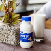 夏进 纯牛奶243ml*24瓶
