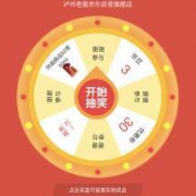京东 泸州老窖 抽特曲精品50ml