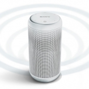 索尼（SONY） LF-S80D 无线蓝牙音箱
