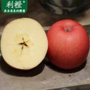 利橙 红富士苹果 10斤