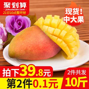海南贵妃芒 中大果 2件共10斤