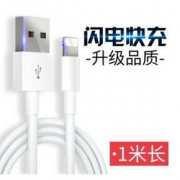 全额免单# 京东 苹果数据线