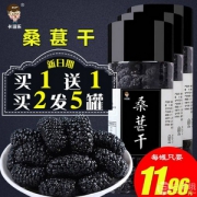 卡滋乐 特级免洗桑葚干250g*2罐