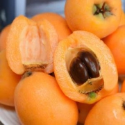 浦甜 枇杷 中大果 1500g