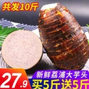 芋小妹 广西特产 荔浦芋头 10斤