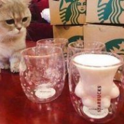 15点开始：STARBUCKS 星巴克 樱花猫爪 双层玻璃杯