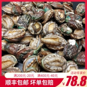 泓牧源 鲜活野生小鲍鱼500g约25-35只