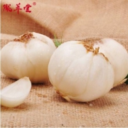 甘肃特产，陇萃堂 三头皇食用鲜百合 500g