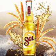 喜力旗下 SOL 苏尔 墨西哥风味 啤酒330mlx24瓶