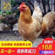 皇谷种 2年农家散养土鸡老母鸡2斤*2只