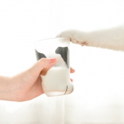 网易严选  猫爪凉水杯 230ml
