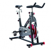 SUNNY HEALTH&FITNESS SF-B1002 家用静音室内健身车