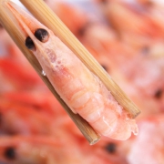 佳美洋 加拿大进口 熟冻北极甜虾 500g