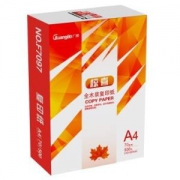 GuangBo 广博 F70975 A4 70g 复印纸 5包
