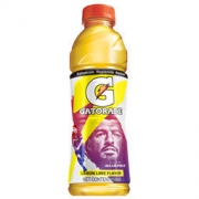 GATORADE 佳得乐 柠檬味 功能运动饮料 600ml*15瓶 53.9元