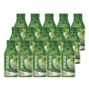 Tingyi 康师傅 贝纳颂 抹茶拿铁饮料 350ml*15瓶装