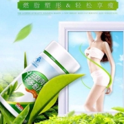 修正 左旋肉碱茶多酚片 0.8g/片*62片