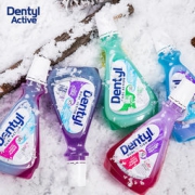 Dentyl邓特艾克 天然无酒精便携装漱口水 500ml 39元包邮（69-30）
