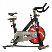 SUNNY HEALTH&FITNESS SF-B1002 家用静音室内健身车