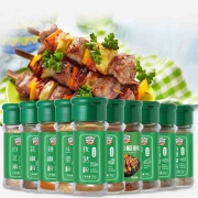 吉得利  烧烤调料组合 10瓶