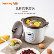 九阳（Joyoung）  DGD2001AM 家用智能紫砂电炖锅