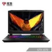 Shinelon 炫龙 V87P 17.3英寸游戏本（i5-9600K、8GB、256GB 1TB、GTX1070 8G、94%NTSC） 9511元包邮（需用券）