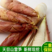 新鲜现挖，临安天目山雷笋5斤