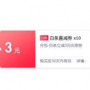京东 白条3元立减券*10张