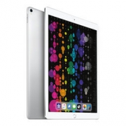 Apple 苹果 iPad Pro 12.9英寸 平板电脑（银色 WLAN+Cellular版 512G ） 8179元包邮（立减）