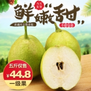 新疆库尔勒当季香梨整箱5斤 券后￥29.8