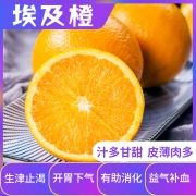 哆啦趣 进口埃及橙 净重5斤