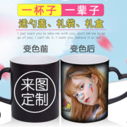 【白菜价】 ins少女心水杯