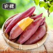 【TOP1】天目山网红小香薯5斤
