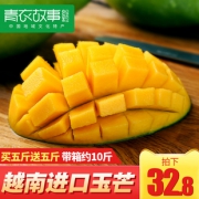 青衣故事 越南青皮芒果 净重约9斤 单果320-500g 32.8元包邮