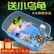 送活乌龟+龟粮 乌龟水陆缸养龟盆带晒台 券后￥8.9