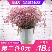 第2件0元！勿忘我满天星 云南天然干花花束 多款
