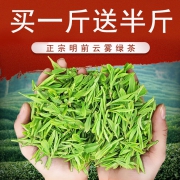 馨诺 日照绿茶 250g 19年明前头采新芽 29.8元包邮