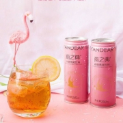 燕之典 冰糖燕窝饮料240ml*6罐