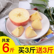 山东烟台栖霞红富士苹果水果新鲜甜脆特产6斤包邮80-85特级出口果  券后31.9元